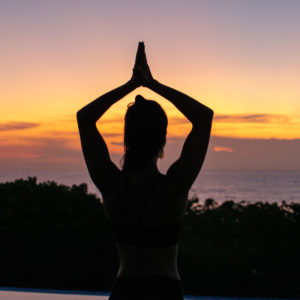 Alexandra Portail Naturopathe Hygiene2Vie_YOGA VINYASA