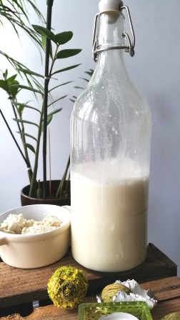LAIT VEGETAL NATUROPATHIE ALEXANDRA PORTAIL HYGIENE2VIE