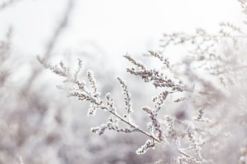 Alexandra Portail Hygiene2Vie Naturopathie Se préparer à l'hiver grâce à la naturopathie