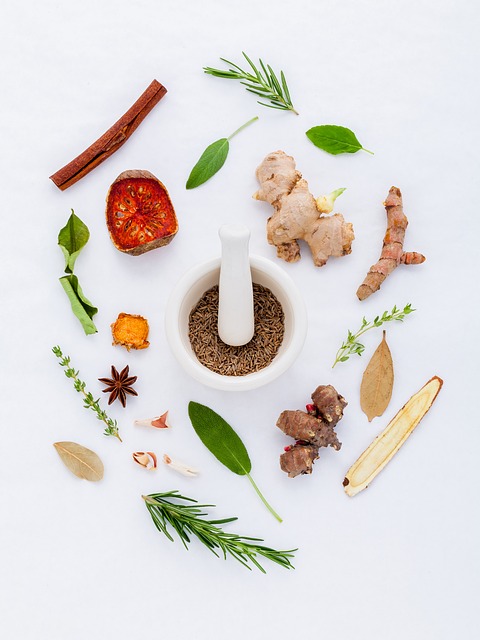Alexandra Portail Hygiene2Vie Ateliers pratiques collectifs en Naturopathie