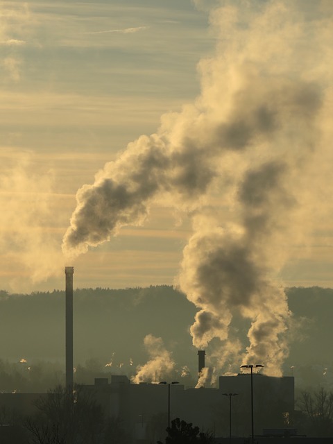 Alexandra Portail Hygiene2Vie Naturopathe comment renforcer naturellement son système immunitaire pollution