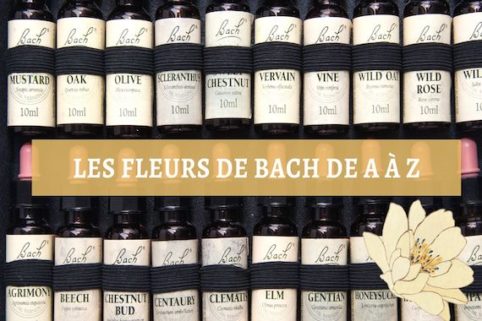 Les Fleurs de Bach de A à Z - origines, principes et intérêts - Alexandra Portail Naturopathe