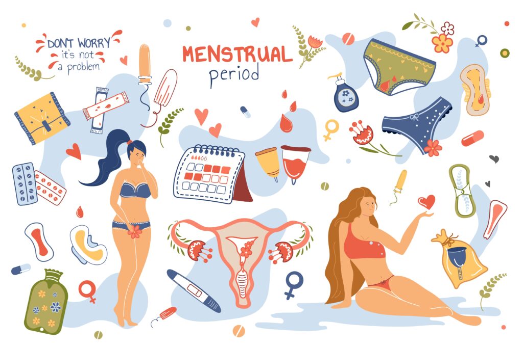 Comprendre (enfin !) le fonctionnement physiologique du cycle menstruel
