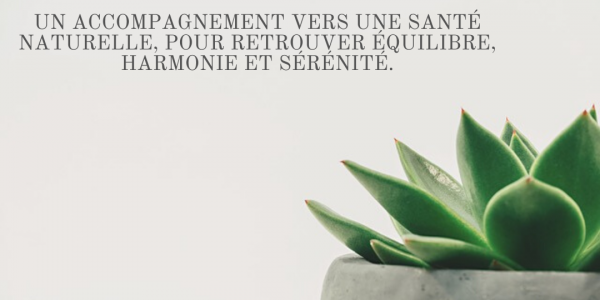 Alexandra Portail Hygiene2Vie Naturopathie pour une vie plus saine et plus sereine Alexandra Portail Hygiene2Vie Naturopathie pour une vie plus saine et plus sereine
