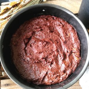 Alexandra Portail Hygiène2Vie Naturopathe Recette du gâteau fondant au chocolat sans lactose ni gluten