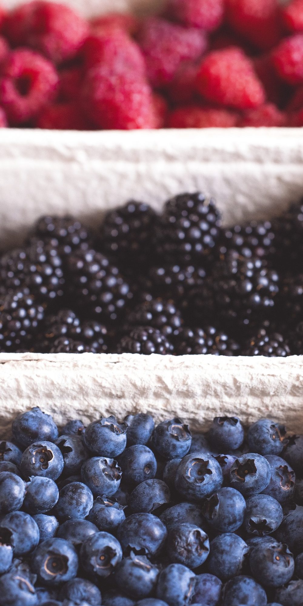 FRUITS BIO alimentation saine, équilibrée et bio Naturopathie Alexandra Portail FRUITS BIO alimentation saine, équilibrée et bio Naturopathie Alexandra Portail