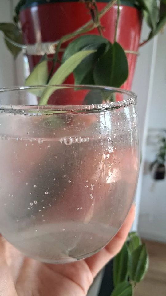 Bien vieillir c'est entretenir nos bactéries !
Parce que nous sommes avant tout constituées de bactéries, nous avons le devoir de les chouchouter ❤️
Pour un apéritif festif, laissons place à ces boissons fermentée aussi excellentes en goûts que pour notre santé. 
Elles sont délicieuses, naturellement pétillantes.
Les faire maison, c'est mesurer leur taux de sucre et c'est beaucoup plus économique et écologique (moins d’emballage).
Comment trouver une mère de kombucha ? 
Fais une demande dans un groupe Facebook de ton village. Tout simplement. Et ça se donne ! 
Alors, on se retrouve pour l’apéro ?☺️
#bienvieillir #50ans #35ansdéjà #premenopause #menopause #kombucha #boissonfermentée #probiotiques #probiotiquesnaturels #digestion #bienêtredigestif