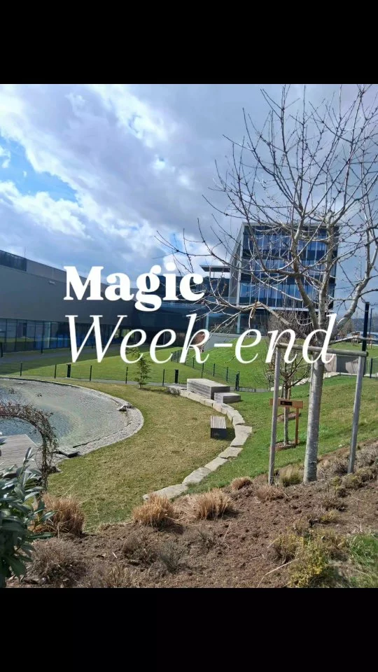 Franchement si on m'avait dit un jour que je serai invitée pour participer à un tel voyage 🌟
De la prise en charge à l'aéroport à l'aller jusqu'au retour à l'aéroport, en passant par un magnifique hôtel, le restaurant, des conférences très inspirantes, des moments d'échange, des activités bien-être... 
Bref ! JAmais je n’aurais pu imaginer qu'un jour je pourrais vivre ce genre d'expérience🙈
Jamais je pensais pouvoir être légitime de vivre cela ou ni d’avoir le droit de pouvoir le vivre. D'ailleurs jusqu'à il y a quelques mois, je pensais ne pas pouvoir y arriver...Et pourtant ! 
Comme quoi lorsque l'on a un objectif en tête et que rien d'autre ne compte, on peut vraiment soulever des montagnes sans forcément s'épuiser.
Car finalement l'épuisement ne vient pas du fait d'atteindre ses objectifs mais surtout de notre dispersion à ne pas avoir d'objectif bien déterminé.
Alors la question que je pourrais te poser et que je vais moi-même me poser pour le reste de l'année 2026 : 
❤️Que veux-tu vivre vraiment sur les prochains mois ? Quelle est la chose qui est extrêmement importante pour toi et que tu as envie d'atteindre, de toucher du doigt ?
Pense à une seule chose et essaie de te focaliser sur celle-ci car tu verras, tu seras toi-même très surprise de t'apercevoir avec quelle facilité tu vas pouvoir y arriver💪
#ringanapeople #ringanarun5